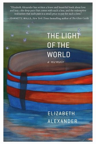 Cover image for The Light of the World