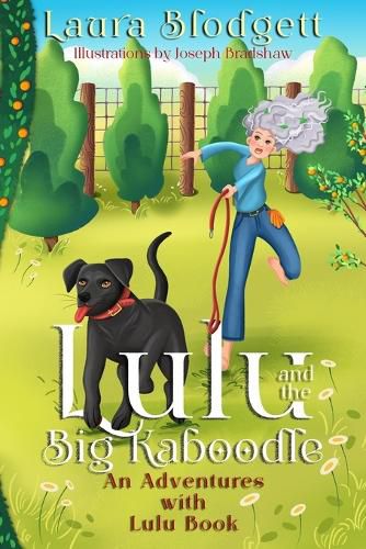 Cover image for Lulu and The Big Kaboodle