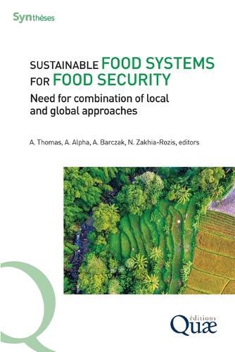 Cover image for Sustainable food systems for food security