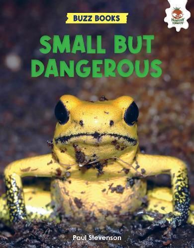 Cover image for Small But Dangerous