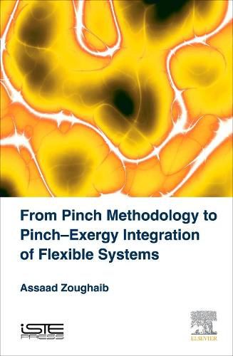 Cover image for From Pinch Methodology to Pinch-Exergy Integration of Flexible Systems