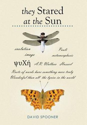 Cover image for They Stared at the Sun