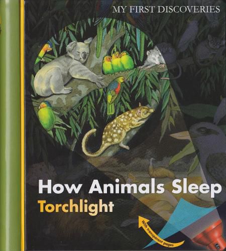 Cover image for How Animals Sleep