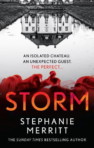 Cover image for Storm