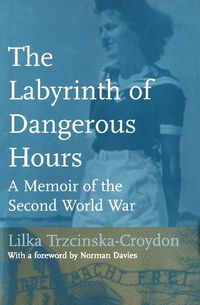 Cover image for The Labyrinth of Dangerous Hours: A Memoir of the Second World War