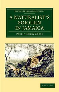 Cover image for A Naturalist's Sojourn in Jamaica