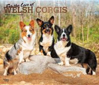 Cover image for Welsh Corgis, for the Love of 2020 Deluxe Foil