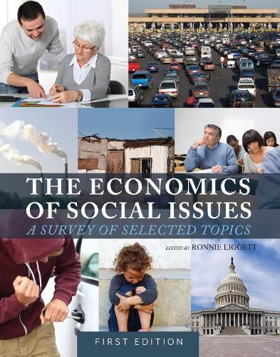 Cover image for The Economics of Social Issues: A Survey of Selected Topics