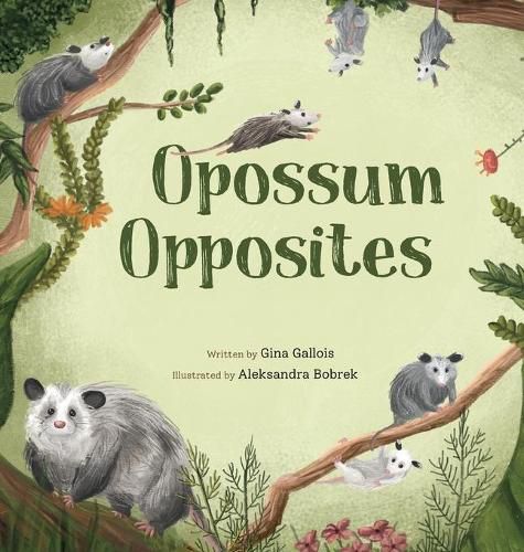 Cover image for Opossum Opposites