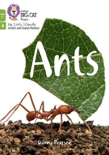 Ants: Phase 4 Set 2