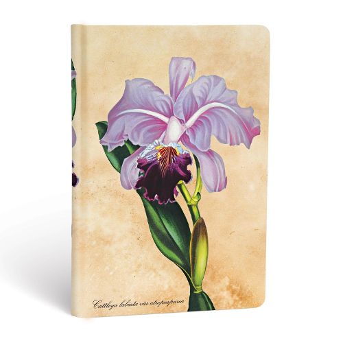 Cover image for Brazilian Orchid Mini Unlined Hardcover Journal