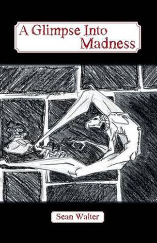 Cover image for A Glimpse Into Madness