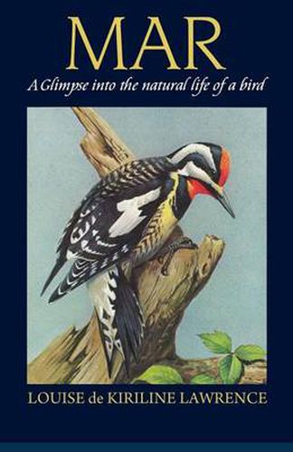 Cover image for Mar: A Glimpse into the Natural Life of a Bird