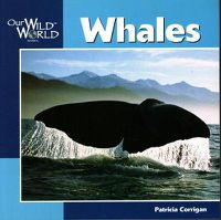 Cover image for Whales