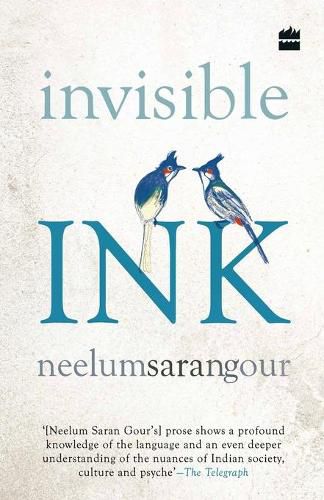 Cover image for Invisible Ink