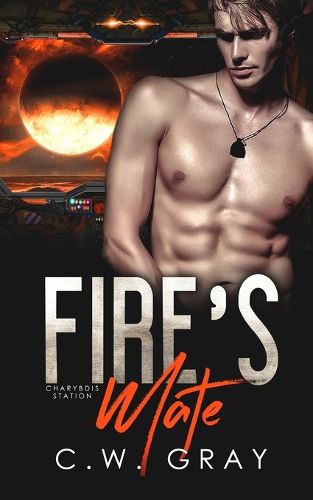 Cover image for Fire's Mate