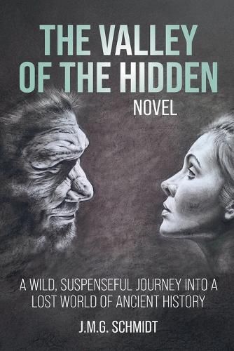 Cover image for The Valley of the Hidden