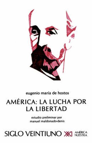 Cover image for America: La Lucha Por La Libertad