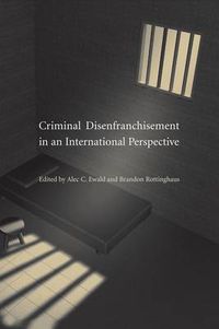 Cover image for Criminal Disenfranchisement in an International Perspective