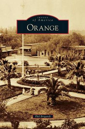 Cover image for Orange