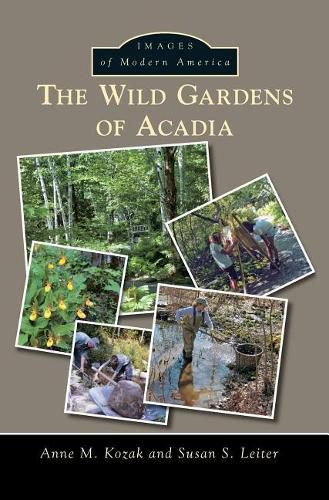 Cover image for The Wild Gardens of Acadia