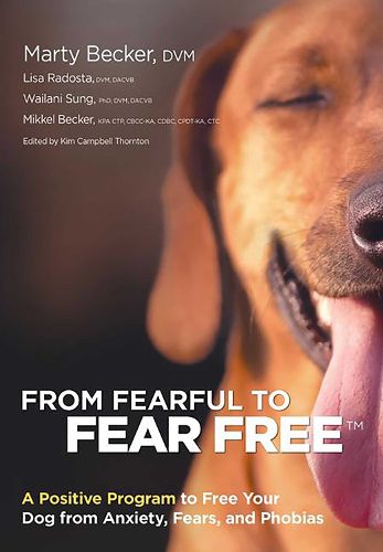 Cover image for From Fearful To Fear Free