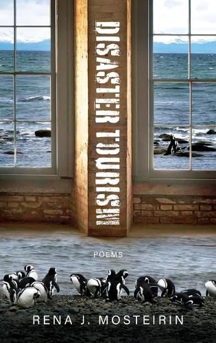 Cover image for Disaster Tourism