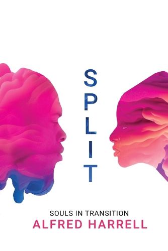 Cover image for Split