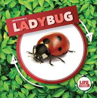 Cover image for Life Cycle of a Ladybug