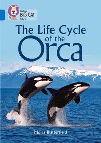 Cover image for The Life Cycle of the Orca: Band 16/Sapphire