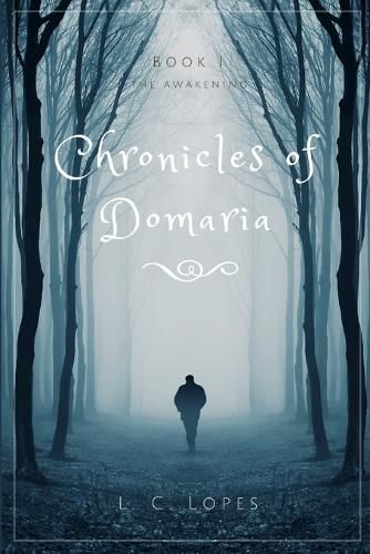 Cover image for Chronicles of Domaria - Book I - The Awakening