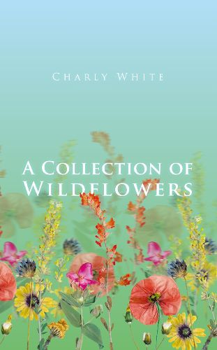 Cover image for A Collection of Wildflowers
