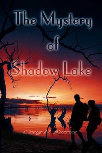 Cover image for The Mystery of Shadow Lake