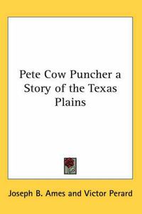 Cover image for Pete Cow Puncher a Story of the Texas Plains