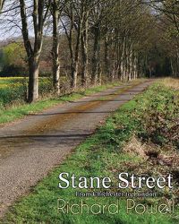 Cover image for Stane Street: From Chichester to London