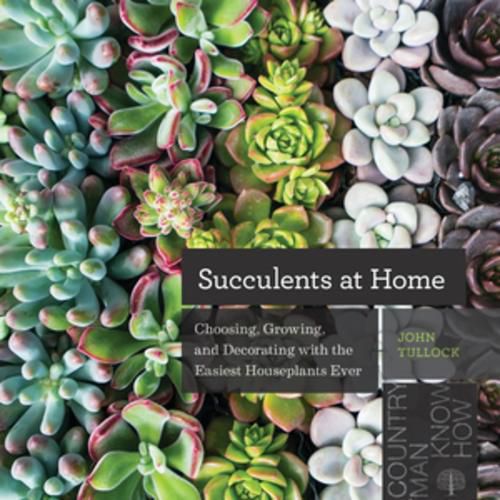 Cover image for Succulents at Home: Choosing, Growing, and Decorating with the Easiest Houseplants Ever