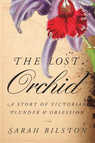 Cover image for The Lost Orchid