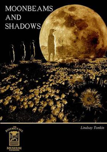 Cover image for Moonbeams and Shadows