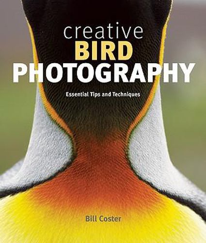 Cover image for Creative Bird Photography: Essential Tips and Techniques