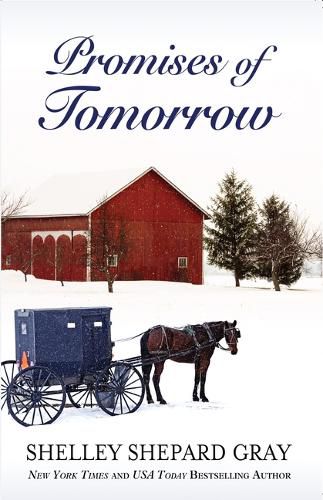 Cover image for Promises of Tomorrow