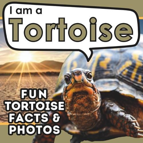 Cover image for I am a Tortoise