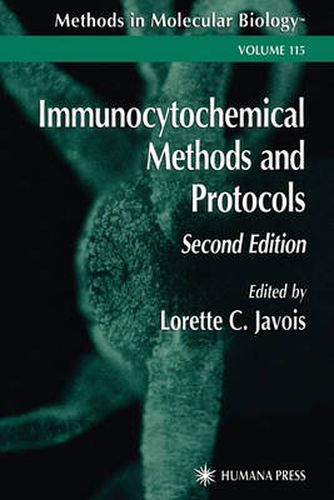 Cover image for Immunocytochemical Methods and Protocols