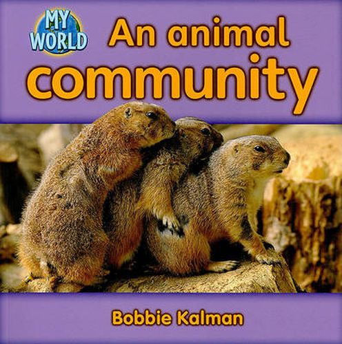 Cover image for An animal community: Animals in My World