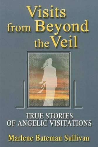 Cover image for Visits from Beyond the Veil: True Stories of Angelic Visitations