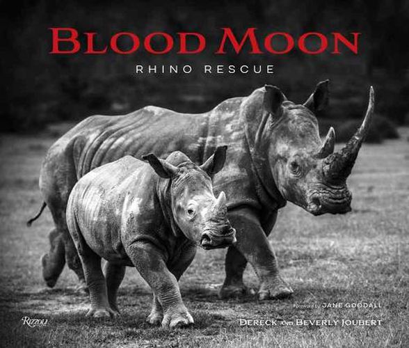 Cover image for Blood Moon: Rescuing the Rhino