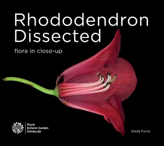 Cover image for Rhododendron Dissected