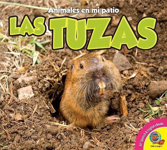 Cover image for Las Tuzas