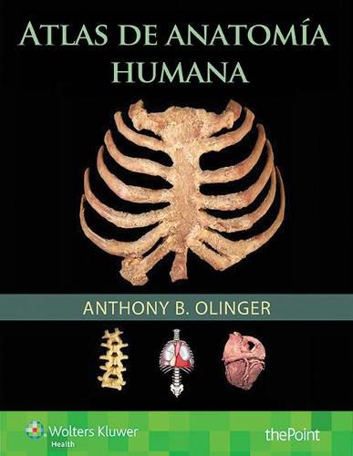 Cover image for Atlas de anatomia humana