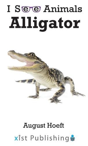 Alligator