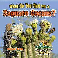 Cover image for What Do You Find on a Saguaro Cactus?